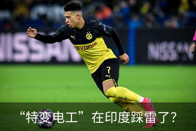 “特变电工”在印度踩雷了？