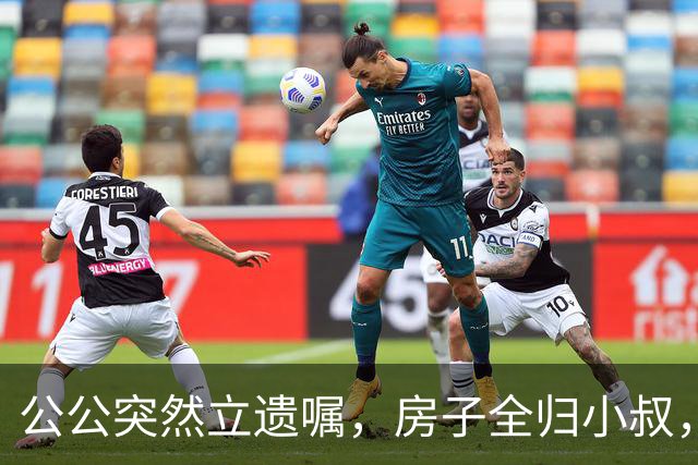 公公突然立遗嘱，房子全归小叔，我轻声说：我陪嫁的房子凭啥给你