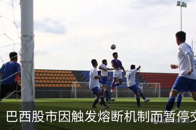 巴西股市因触发熔断机制而暂停交易