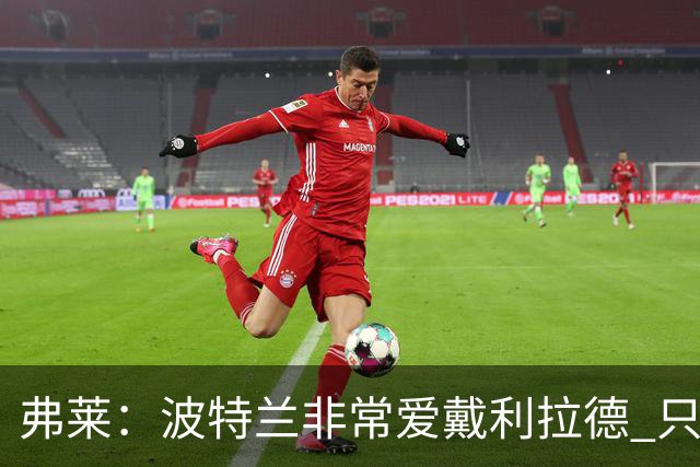弗莱：波特兰非常爱戴利拉德 只要他有精彩表现球馆就像地震一样