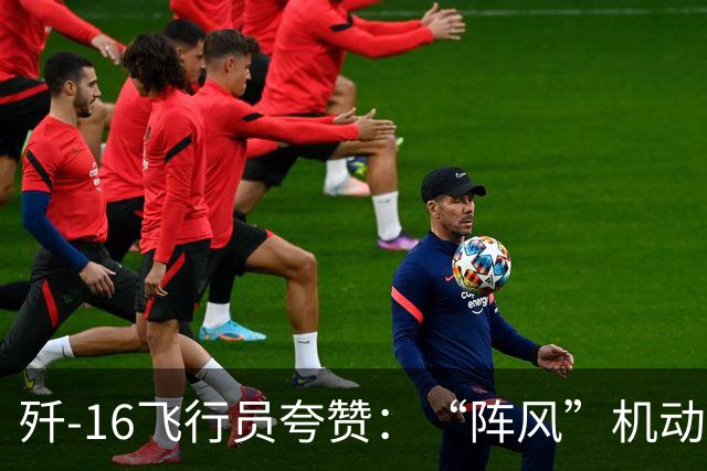 歼-16飞行员夸赞：“阵风”机动性、近距格斗能力都要更强一些！