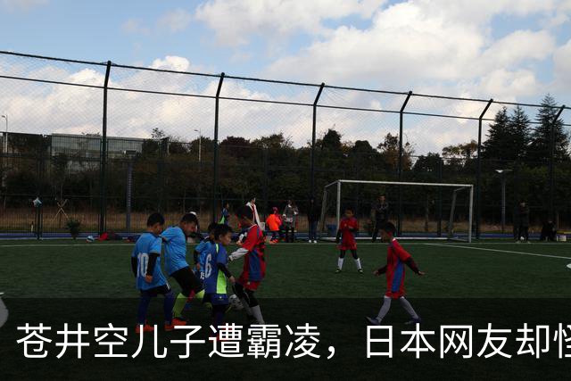 苍井空儿子遭霸凌，日本网友却怪她职业，她删帖反击