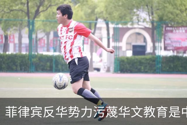 菲律宾反华势力污蔑华文教育是中国“统战工作”“政治渗透”，180多名中国华文教师出于安全考虑不得不离开，井泉大使：反华势力何其卑劣