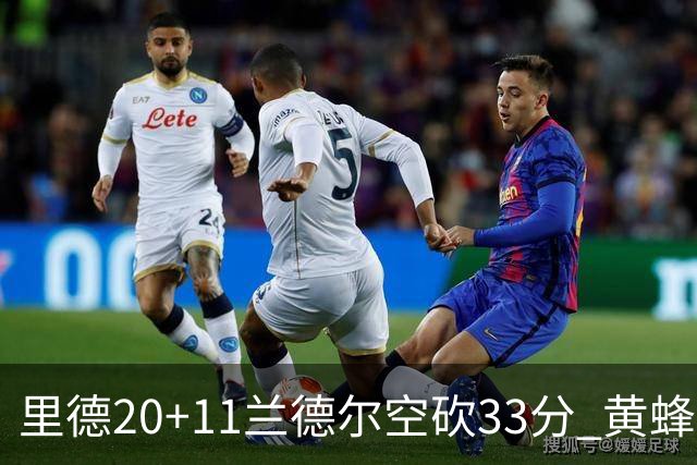 里德20+11兰德尔空砍33分 黄蜂险胜篮网