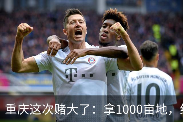 重庆这次赌大了：拿1000亩地，给无人机修所大学！