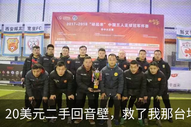 20美元二手回音壁，救了我那台地下室电视