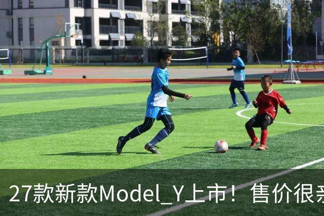 27款新款Model Y上市！售价很亲民，轿跑外观动感十足，续航830Km