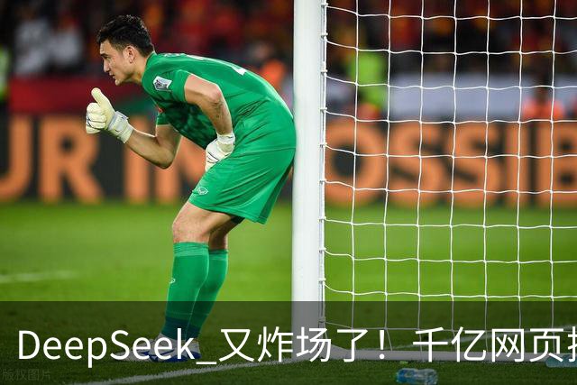 DeepSeek 又炸场了！千亿网页搜索 API 开放